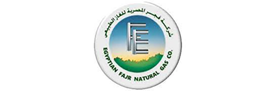 ,-Jordanian-Egyptian-Fajr-for-Natural-Gas-Transmission-and-Supply-Co.-Ltd.
